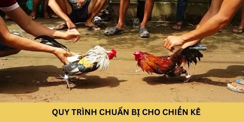 Quy trình chuẩn bị cho chiến kê